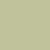Pale Olive - Max Compact eksterijer (Šifra: 0611)